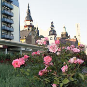 Chemnitz: ewiges Experiment Rosenhof