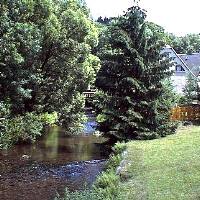 das Flüsschen Zwönitz in Einsiedel