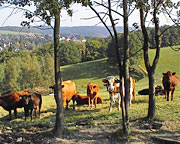 Erfenschlag am Nordrand des Erzgebirges