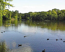 Stadtparkteich von Chemnitz