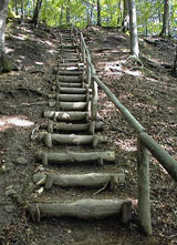 der Zeisigwald ist auch was zum Klettern und Trimmen