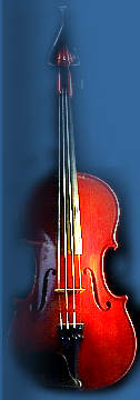 Violine